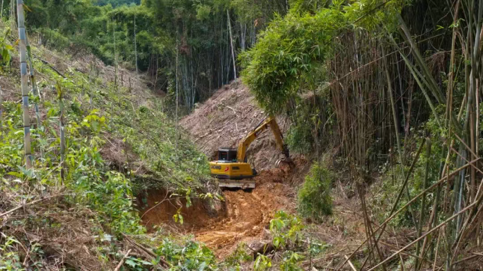 林间“藏龙”，竹海“卧虎”——K8凯发·国际官方网站林业挖机广西侠客行
